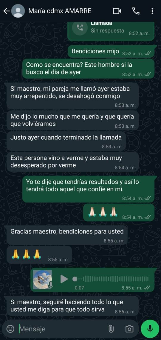 MAESTRO 1