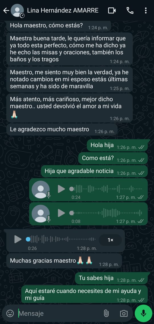 MAESTRO 7
